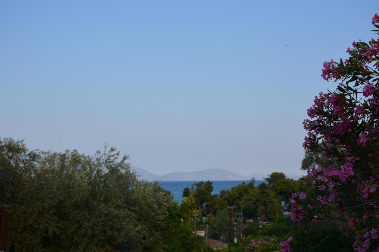Aristotelis Epidaurus Exterior foto